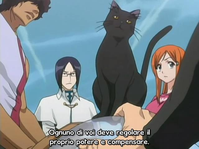 Otaku Gallery  / Anime e Manga / Bleach / Screen Shots / Episodi / 025 - Sfondare al centro con un enorme proiettile / 138.jpg